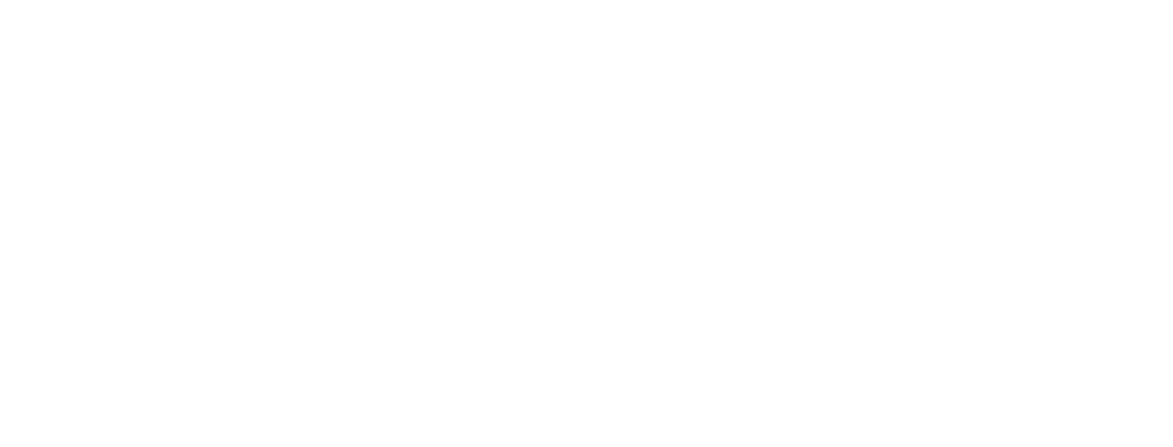 ffbb hoz blanc
